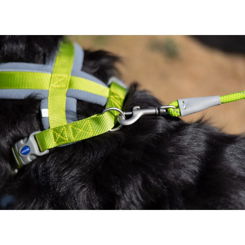 Ancol Viva Padded Harness Black M 41-53cm