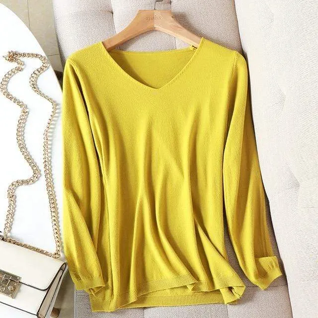 Basic Long Sleeve V-Neck Shirt