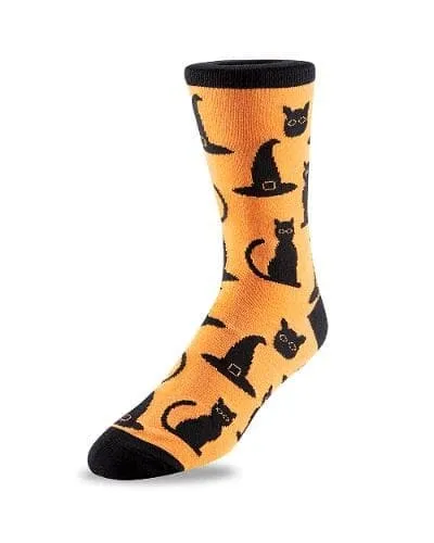Cats & Witches